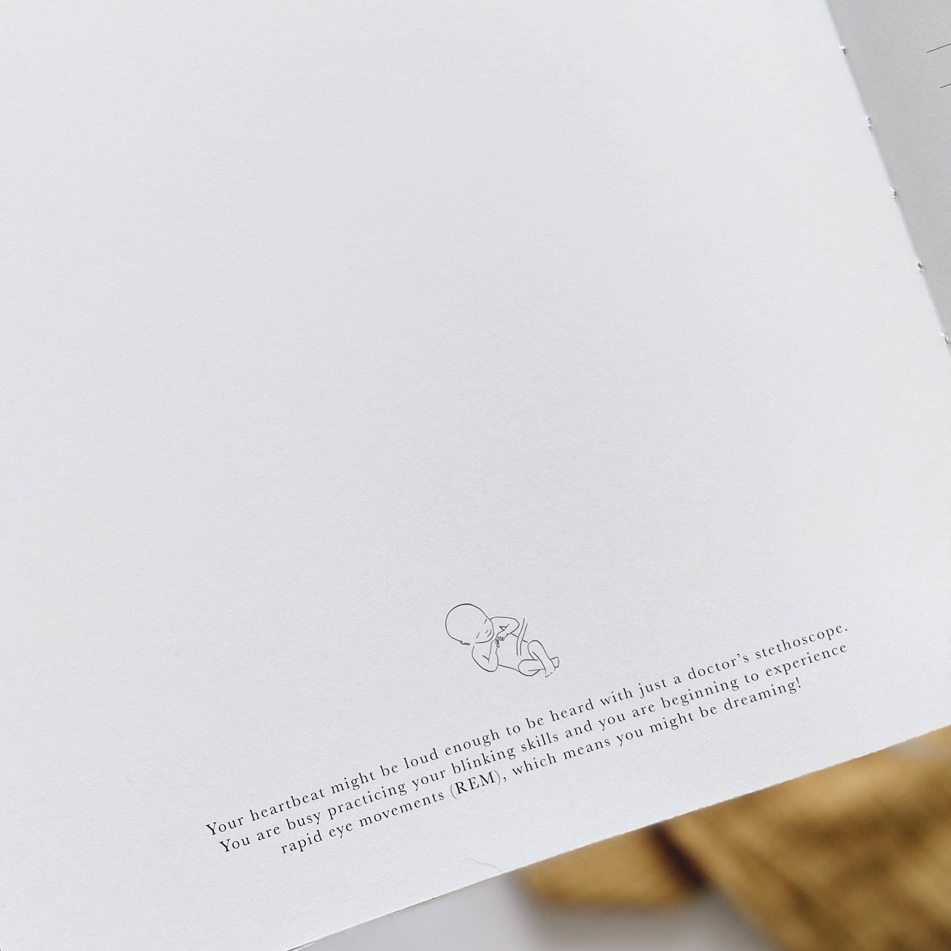 Pregnancy Journal Animals  Keepsake Journal with Gilded Edges Blush And Gold