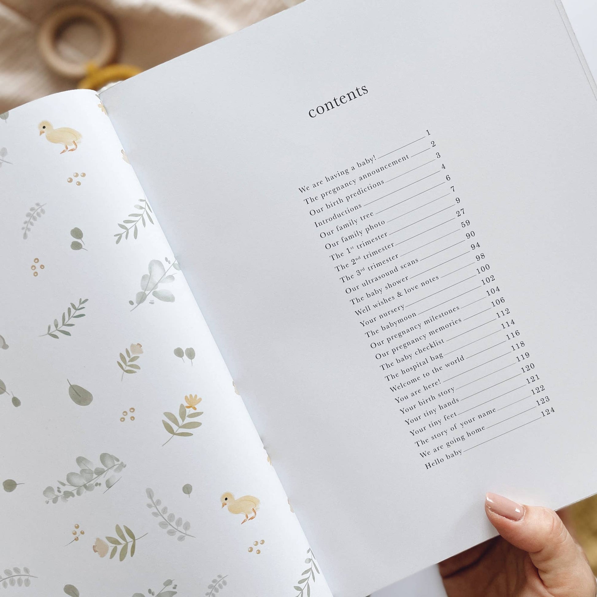 Pregnancy Journal Animals  Keepsake Journal with Gilded Edges Blush And Gold