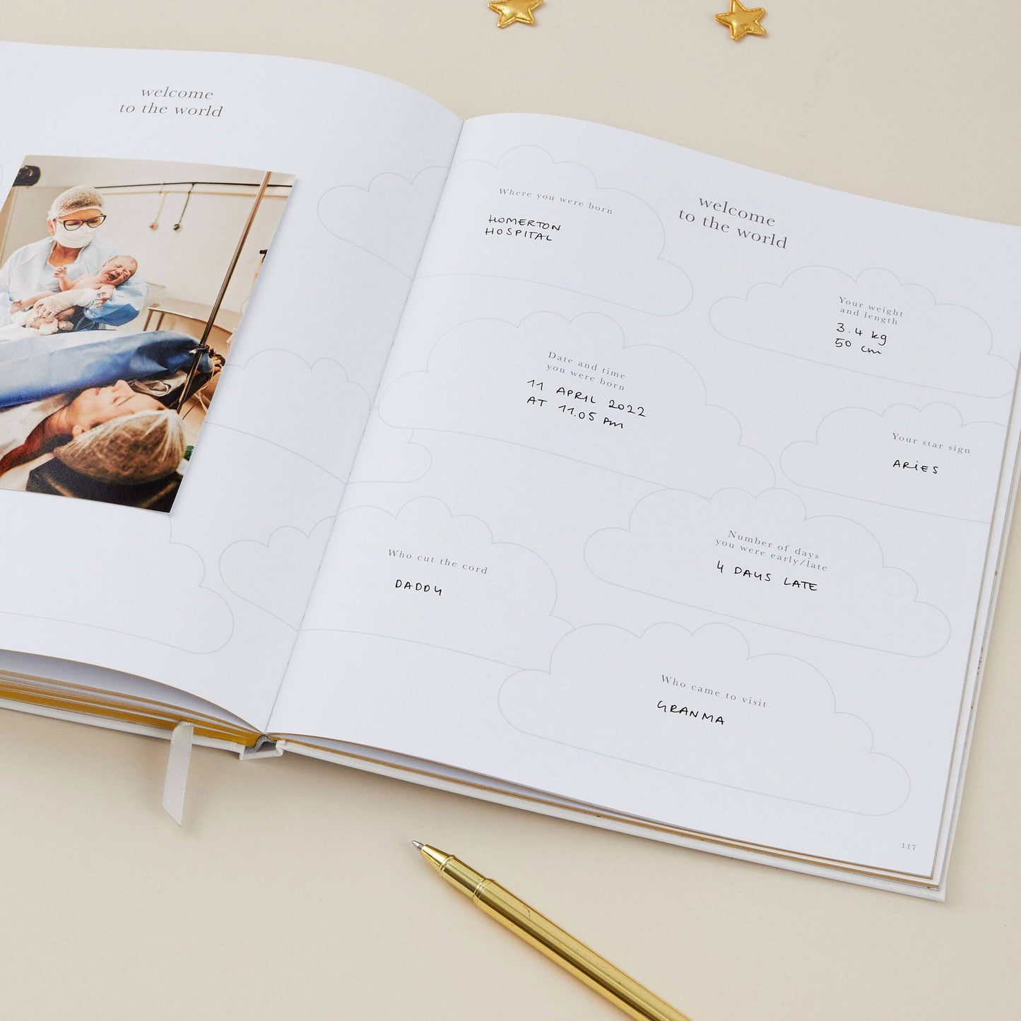 My Pregnancy Journal - Floral