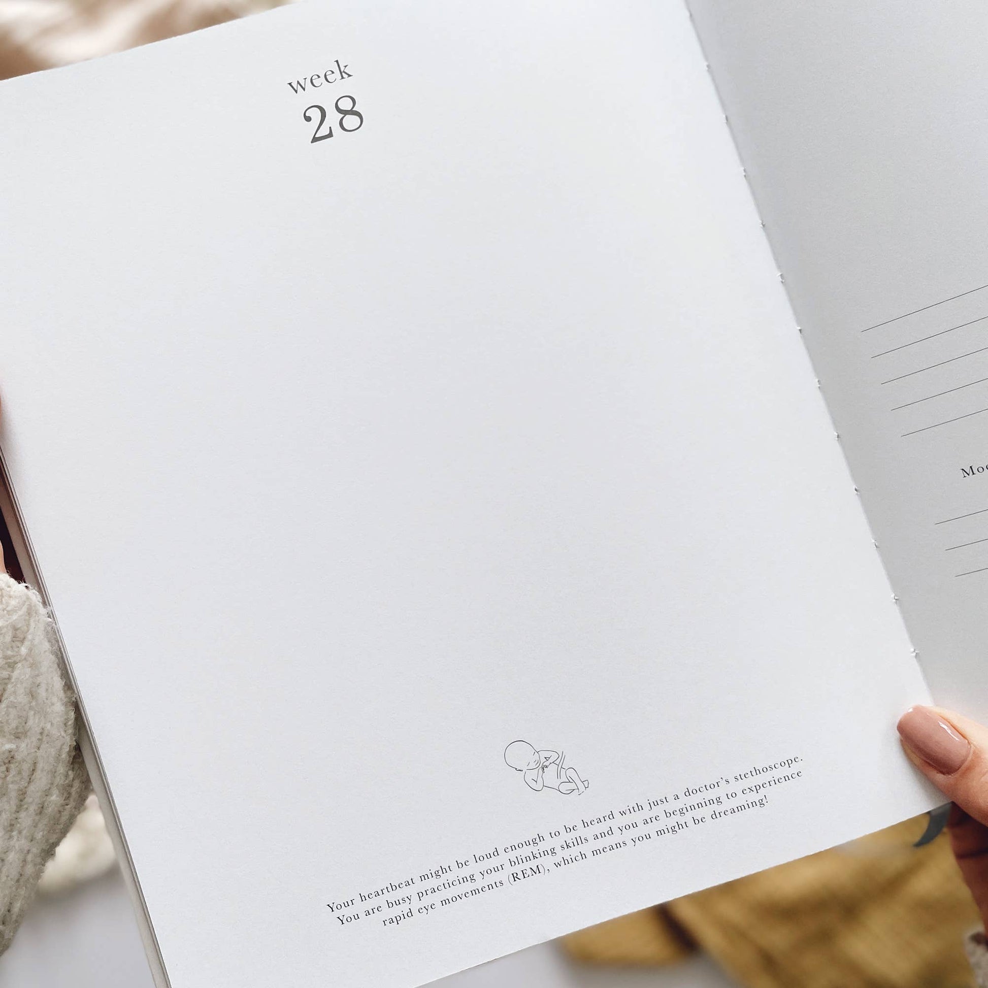 Pregnancy Journal Animals  Keepsake Journal with Gilded Edges Blush And Gold