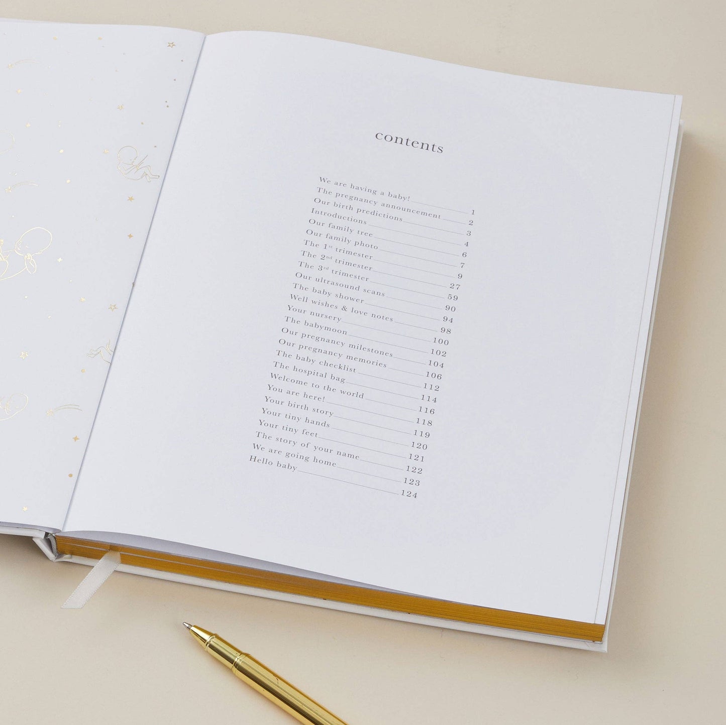 Lullaby Baby My Pregnancy Journal