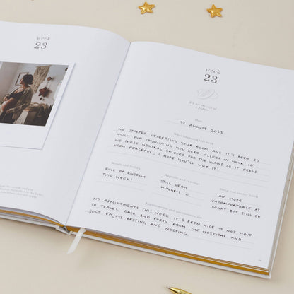 Lullaby Baby My Pregnancy Journal