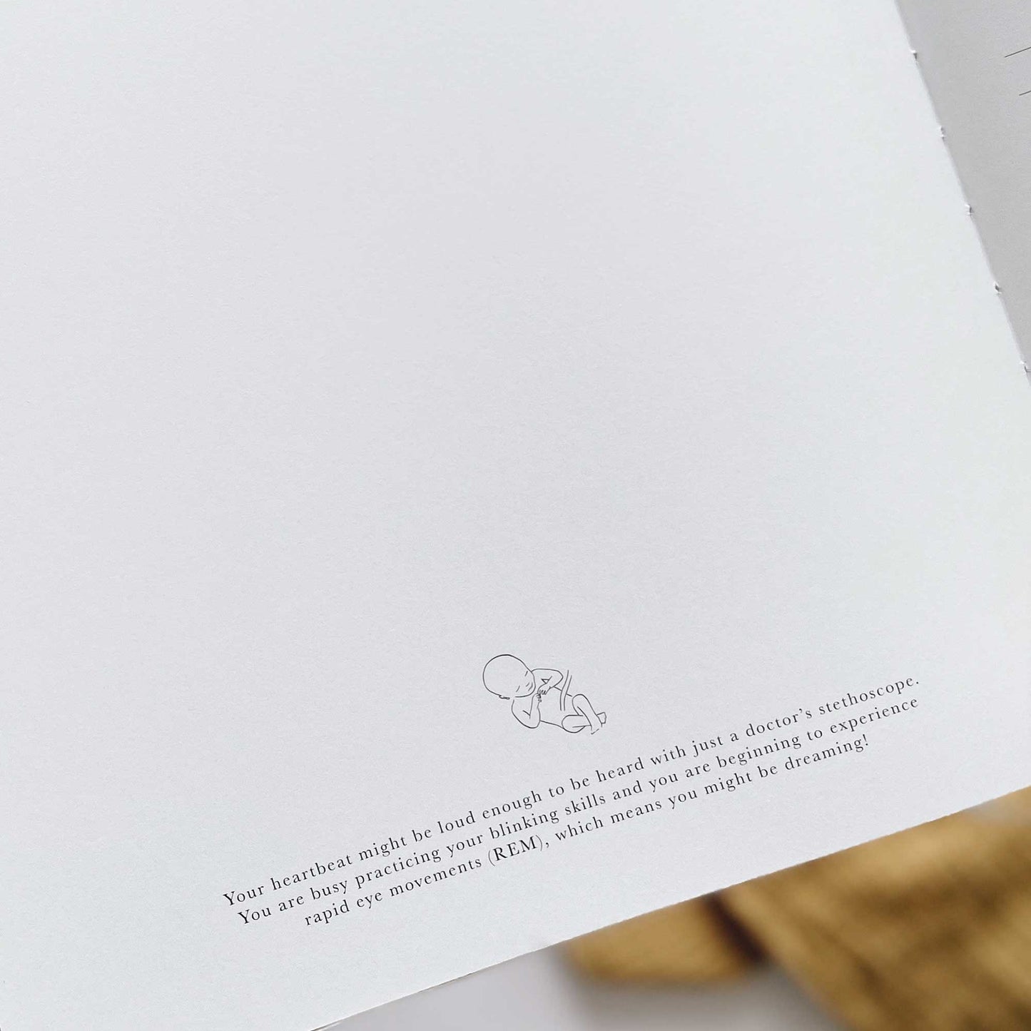 Lullaby Baby My Pregnancy Journal
