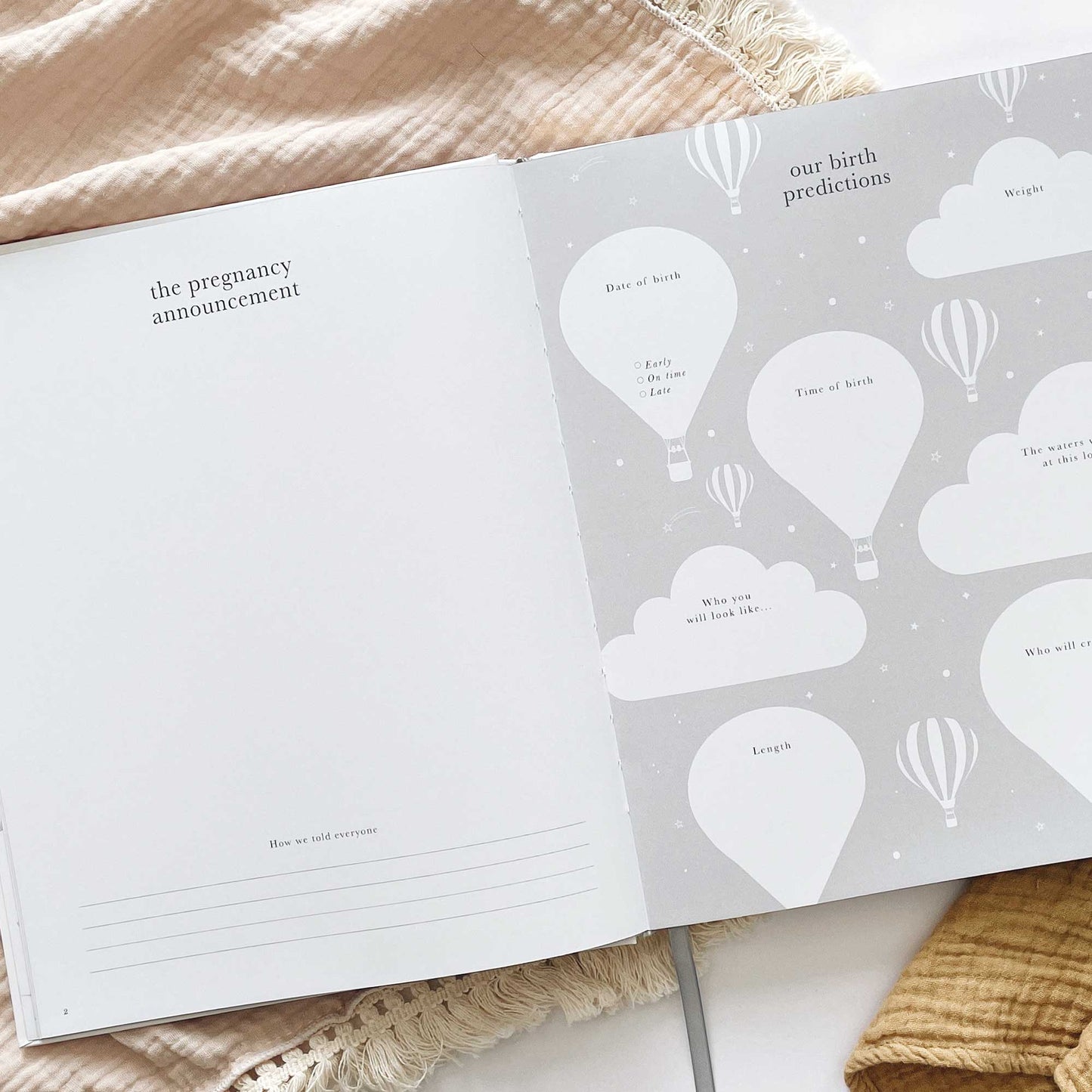 Lullaby Baby My Pregnancy Journal