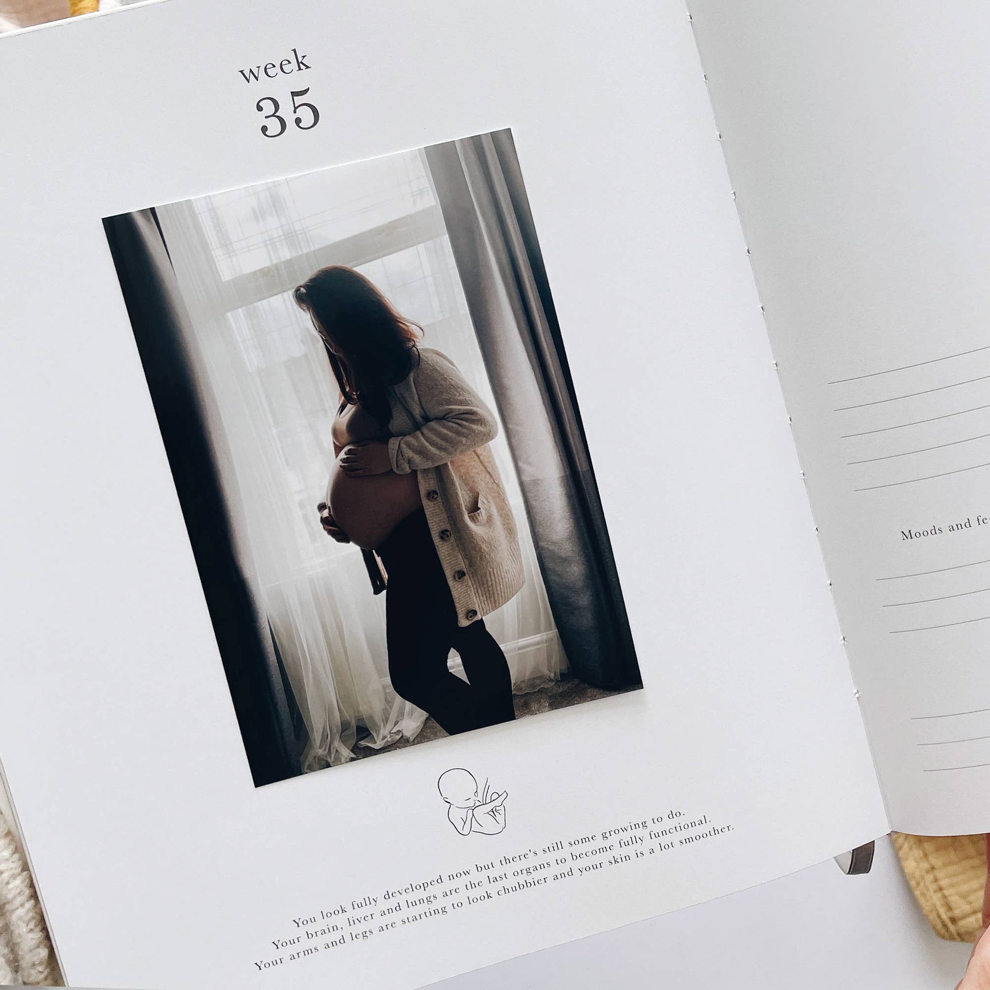 Pregnancy Journal Animals  Keepsake Journal with Gilded Edges Blush And Gold