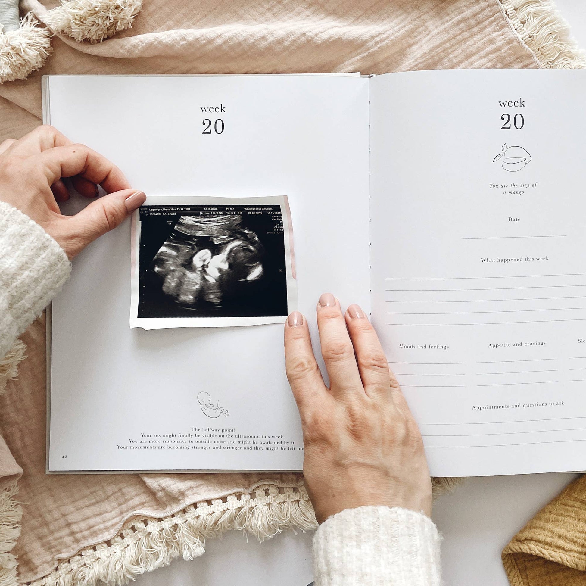 Pregnancy Journal Animals  Keepsake Journal with Gilded Edges Blush And Gold